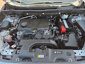 2019 Toyota RAV4 LE FWD