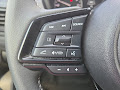 2025 Subaru Forester Premium AWD