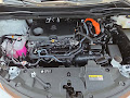 2025 Toyota Sienna XLE AWD