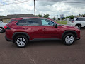 2024 Toyota RAV4 LE AWD