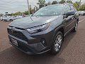 2024 Toyota RAV4 XLE Premium AWD
