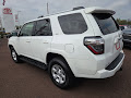 2024 Toyota 4Runner SR5 Premium 4WD