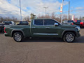 2022 Toyota Tundra 4WD 1794 Edition