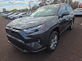 2025 Toyota RAV4 XLE Premium AWD