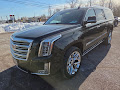 2020 Cadillac Escalade ESV Platinum 4WD
