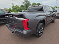 2023 Toyota Tundra 4WD Platinum Hybrid 4WD