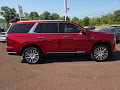 2025 Cadillac Escalade 4WD Premium Luxury Platinum 4WD