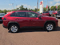 2019 Toyota RAV4 XLE AWD